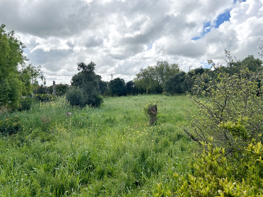 0 Bedroom Property for Sale in Napier Western Cape